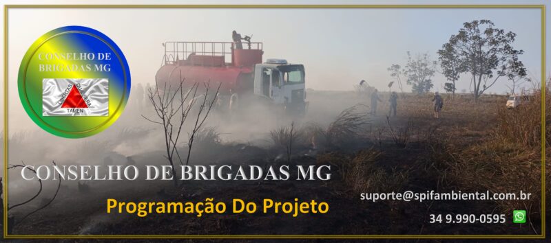 Protegido: Conselho de Brigadas MG – Programação Do Projeto