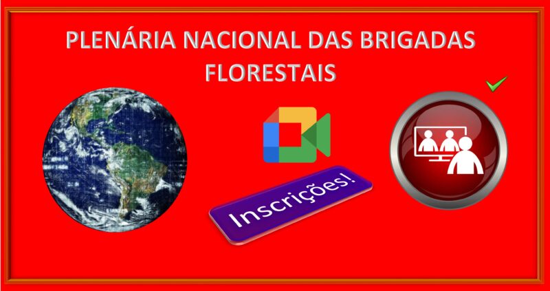 PLENÁRIA NACIONAL DAS BRIGADAS FLORESTAIS