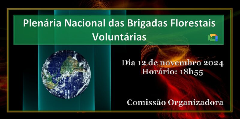 1ª Reunião Plenária Nacional das Brigadas Florestais Voluntárias Comissão Organizadora – Online