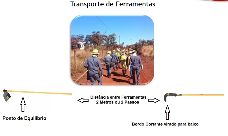 Protegido: CURSO EAD BRIGADISTA FLORESTAL 3º MODULO