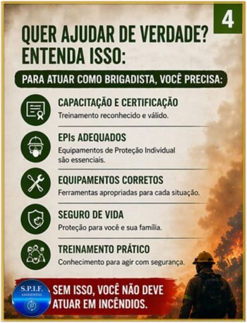 INCÊNDIOS FLORESTAIS DESTROEM VIDAS !