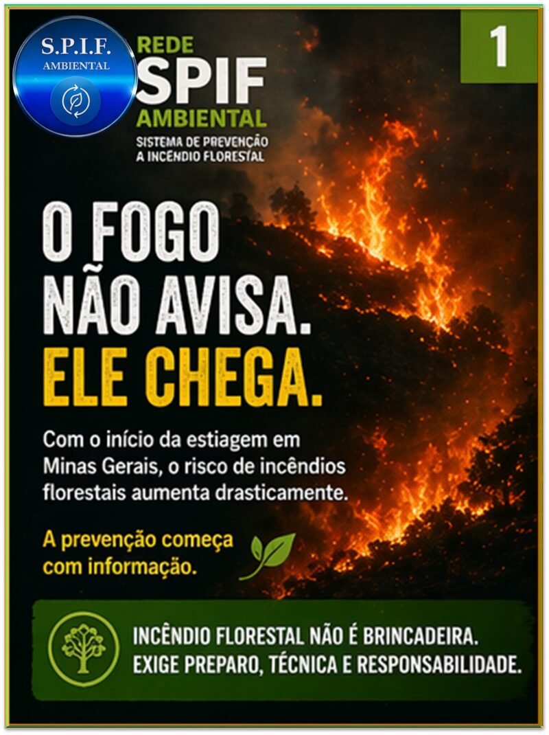 IMPACTO / CONSCIÊNCIA