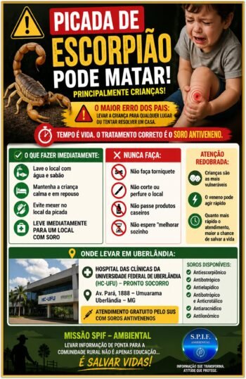 PICADA DE ESCORPIÃO PODE MATAR