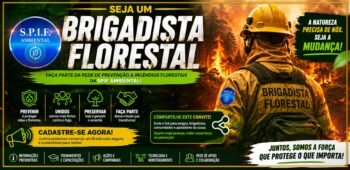 CONVITE PARA BRIGADISTAS FLORESTAIS